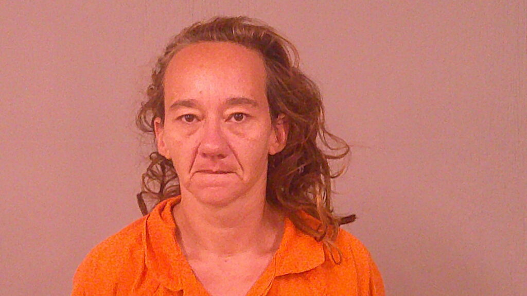 FREEBY, SAMANTHA MARIE booking photo
