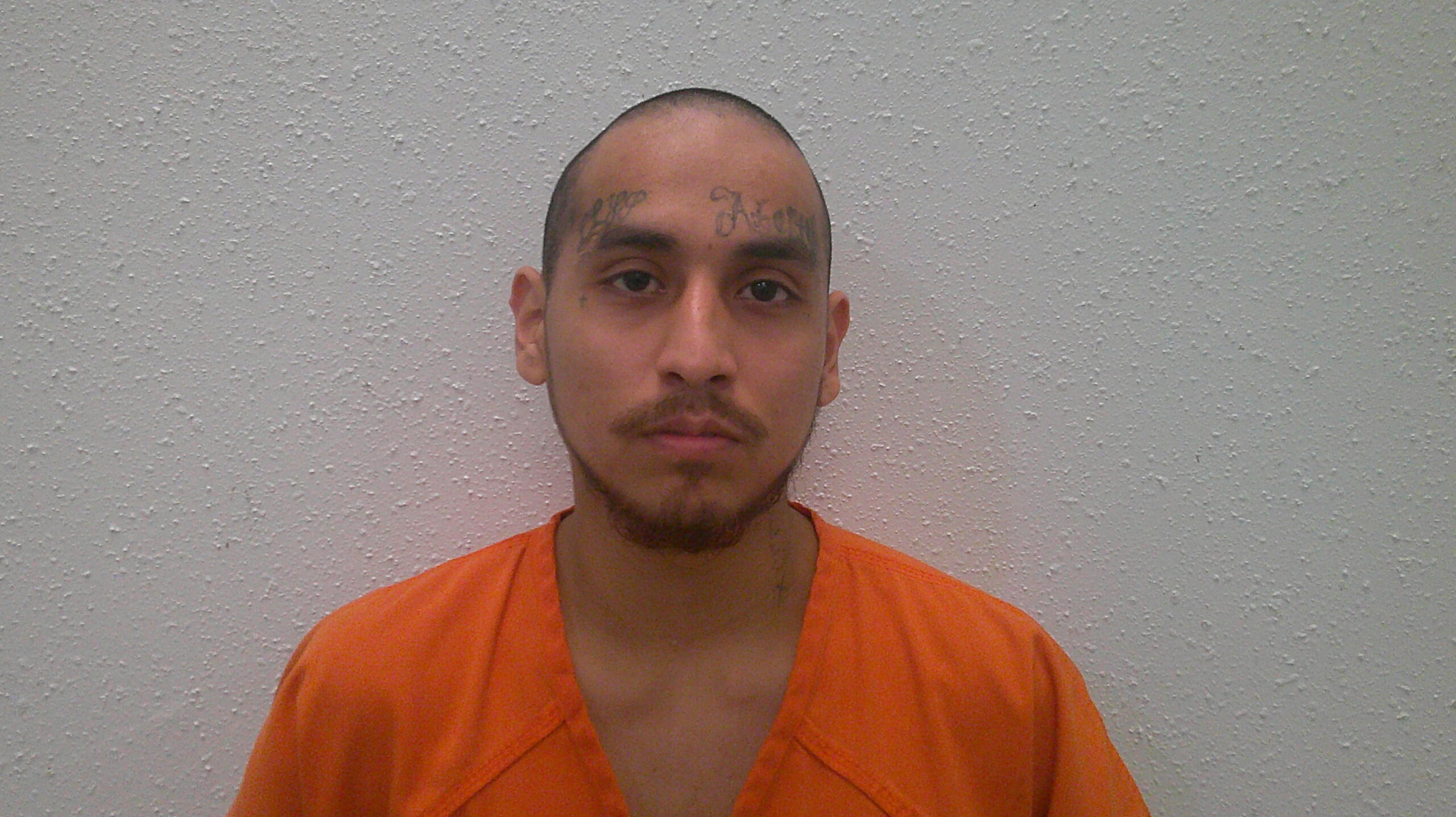 SEGOVIA, CHRISTIAN ANGEL booking photo