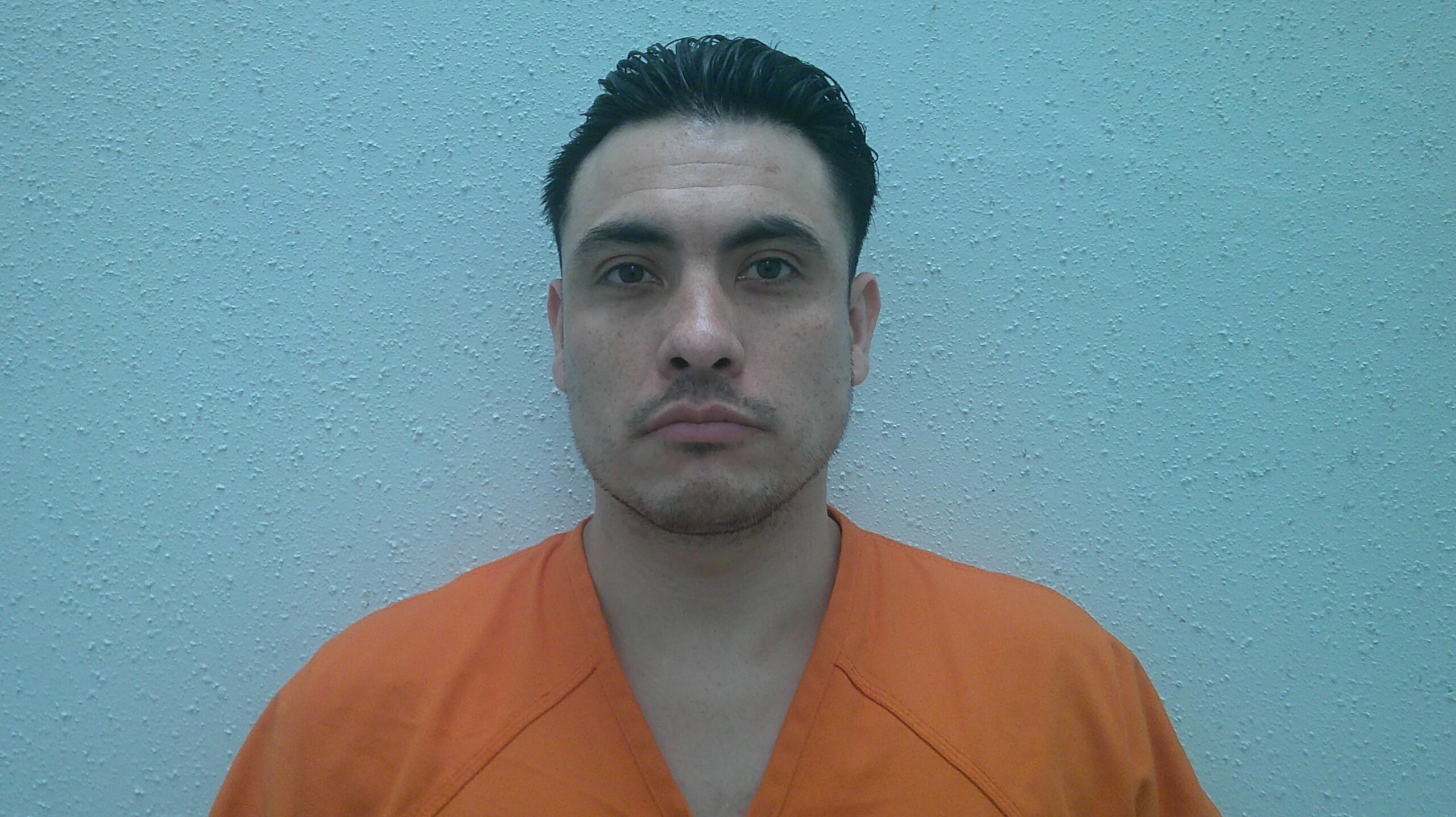 HALE, ARON MICHAEL booking photo