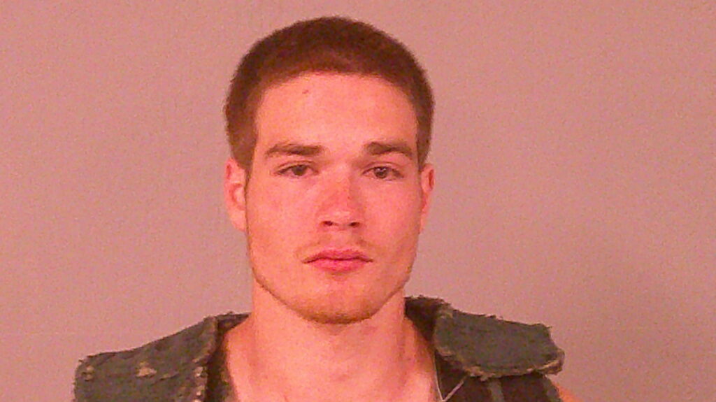 LAIDLER, LEW booking photo