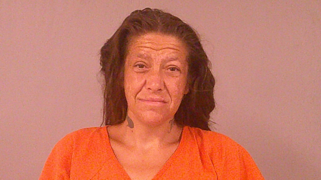 PRESTON, LESLIE ANN booking photo