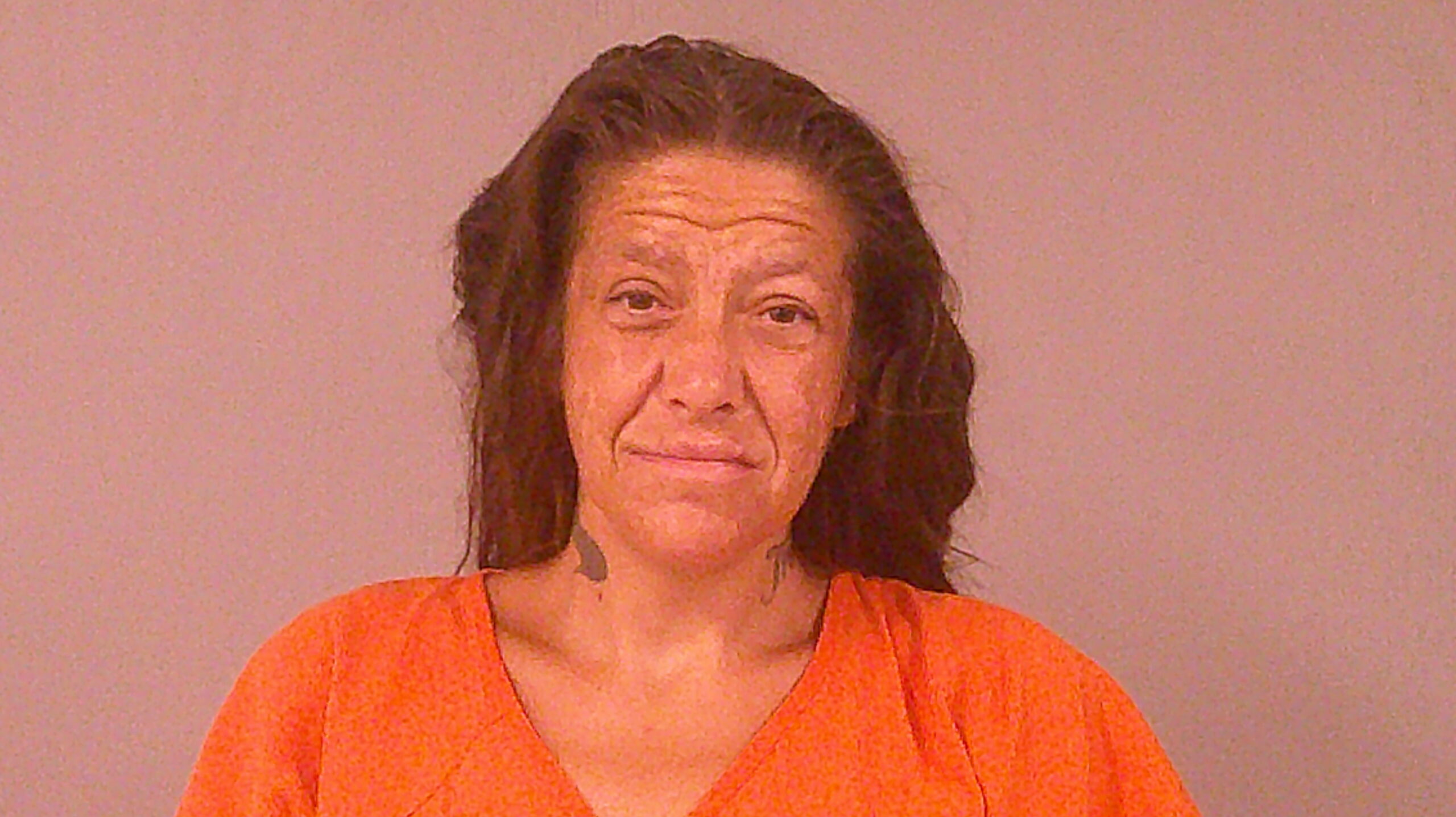 PRESTON, LESLIE ANN booking photo