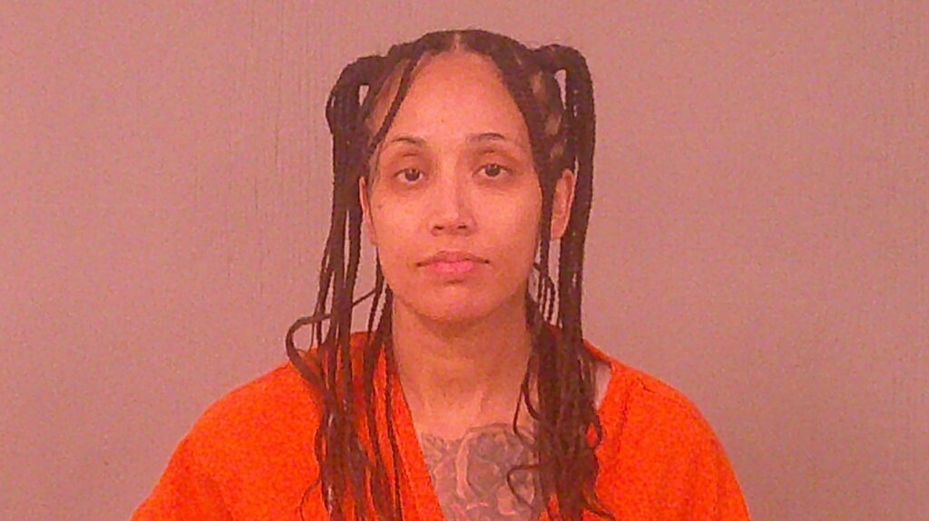 ROSAS, JUANITA ANN booking photo