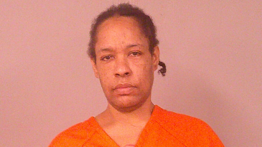 THOMAS, PRISCILLA arrested in Burnet County, Texas mugshot