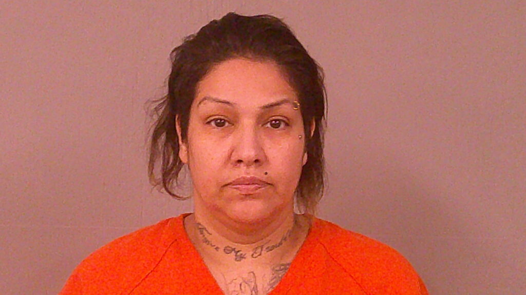 LIRA, JENNIFER MARIE arrested in Burnet County, Texas mugshot