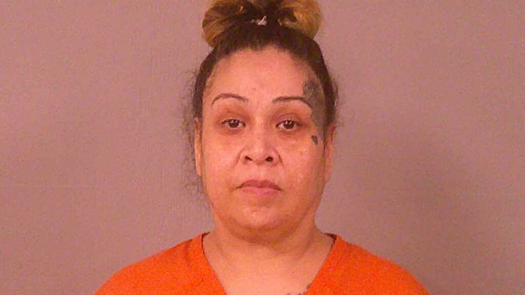PESINA, JESSICA ROSE arrested in Burnet County, Texas mugshot