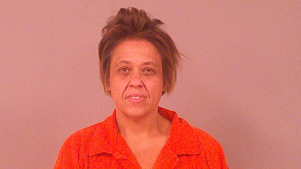 CASTILLO, APRIL MICHELLE arrested in Burnet County, Texas mugshot