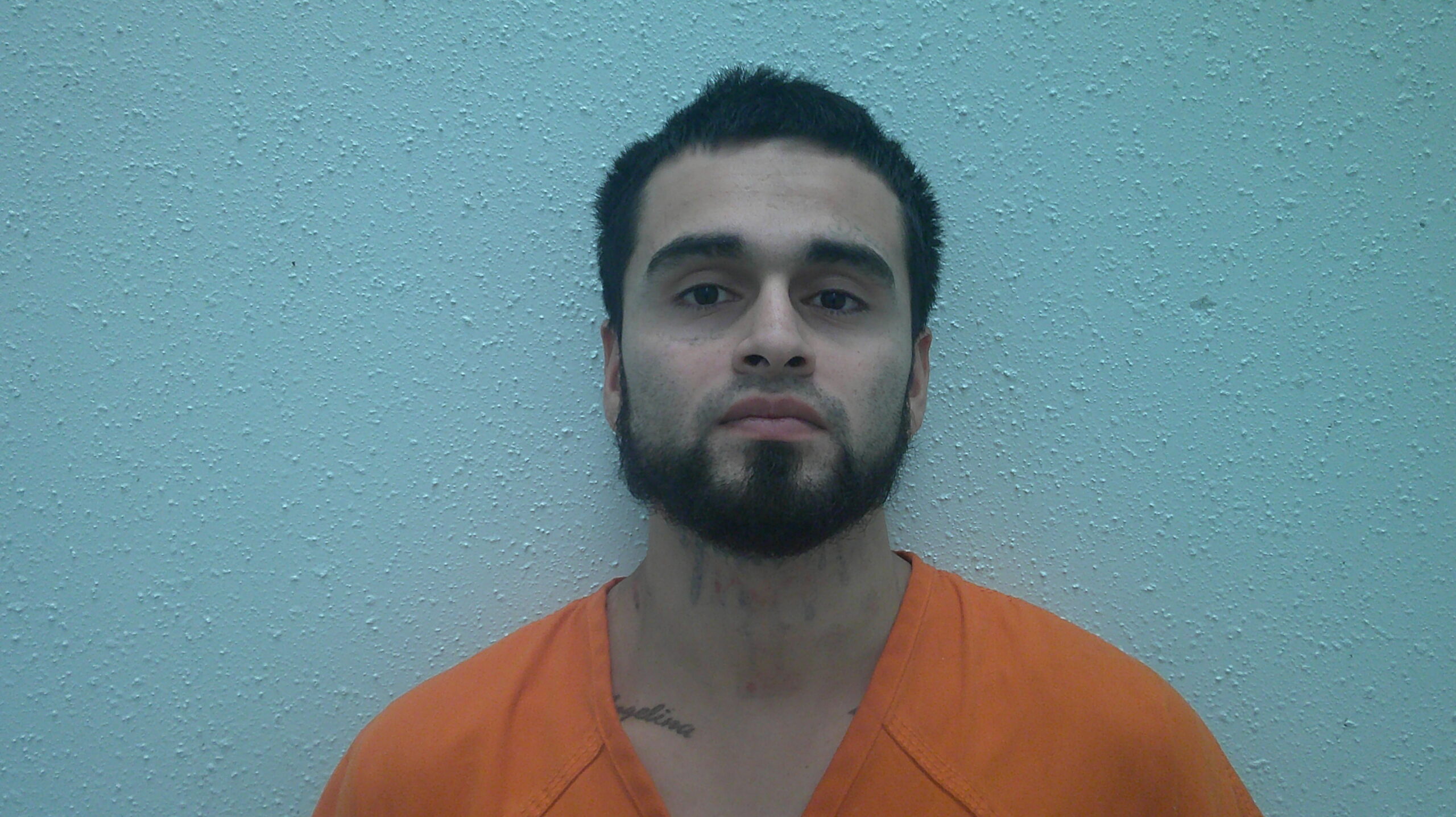 CASTANEDA, VIDAL booking photo