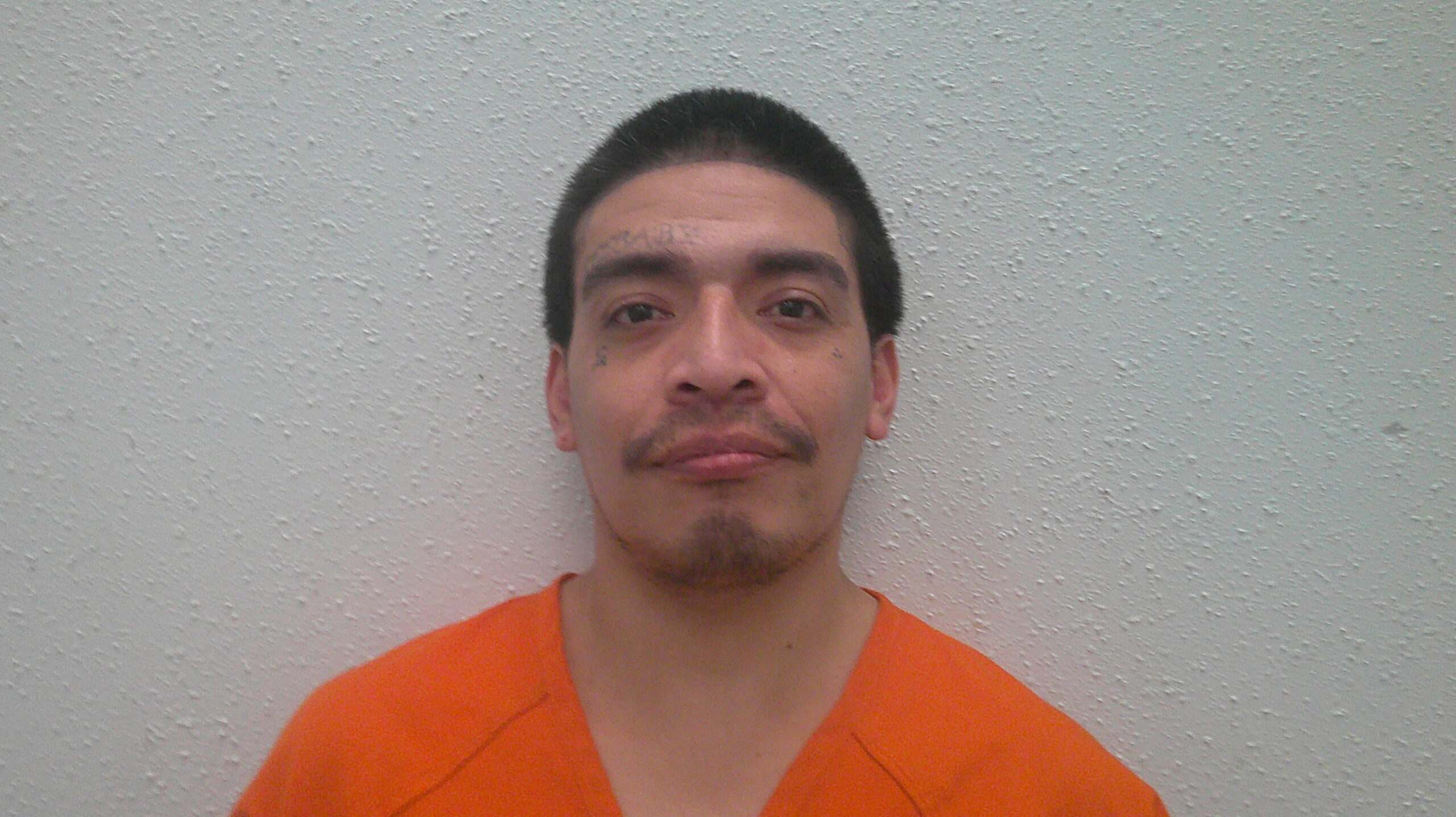 MATA, LEONEL booking photo