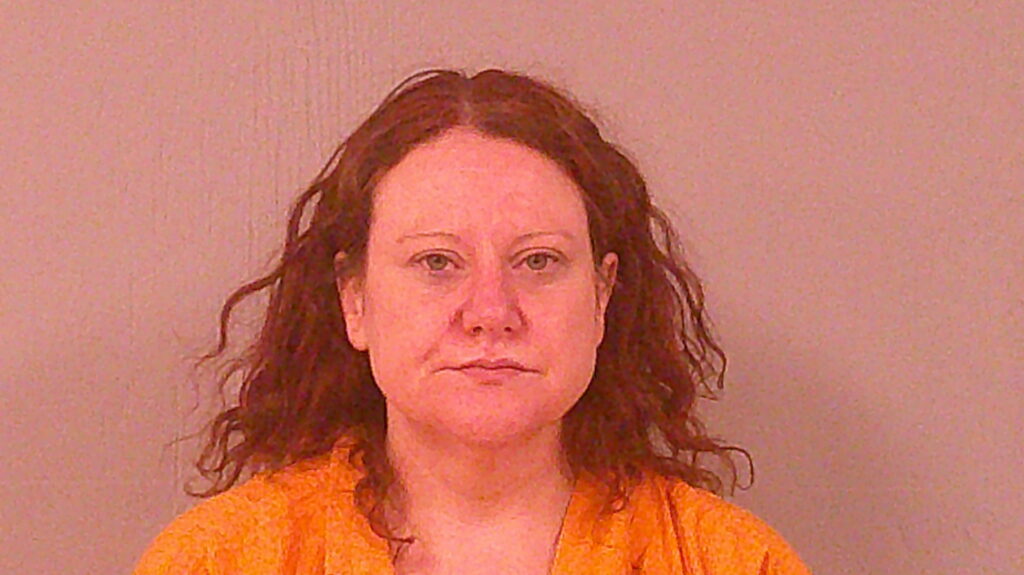 SCHNITZLER, RACHEL LYNN booking photo