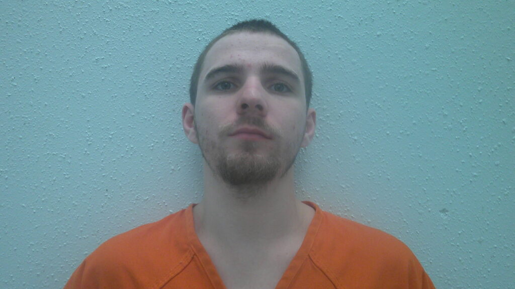 BROWN, PATRICK LEVI booking photo