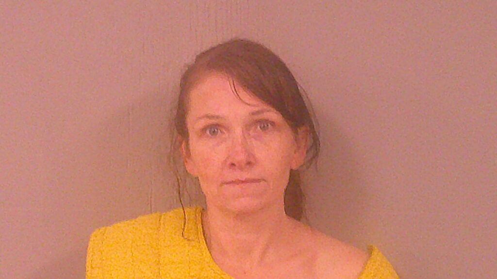 STERLING, VIRGINIA LYN booking photo