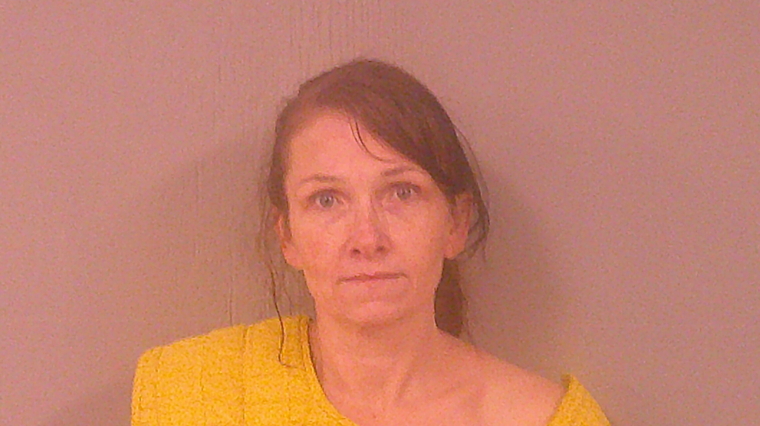 STERLING, VIRGINIA LYN arrested by Burnet County Sheriff’s Office