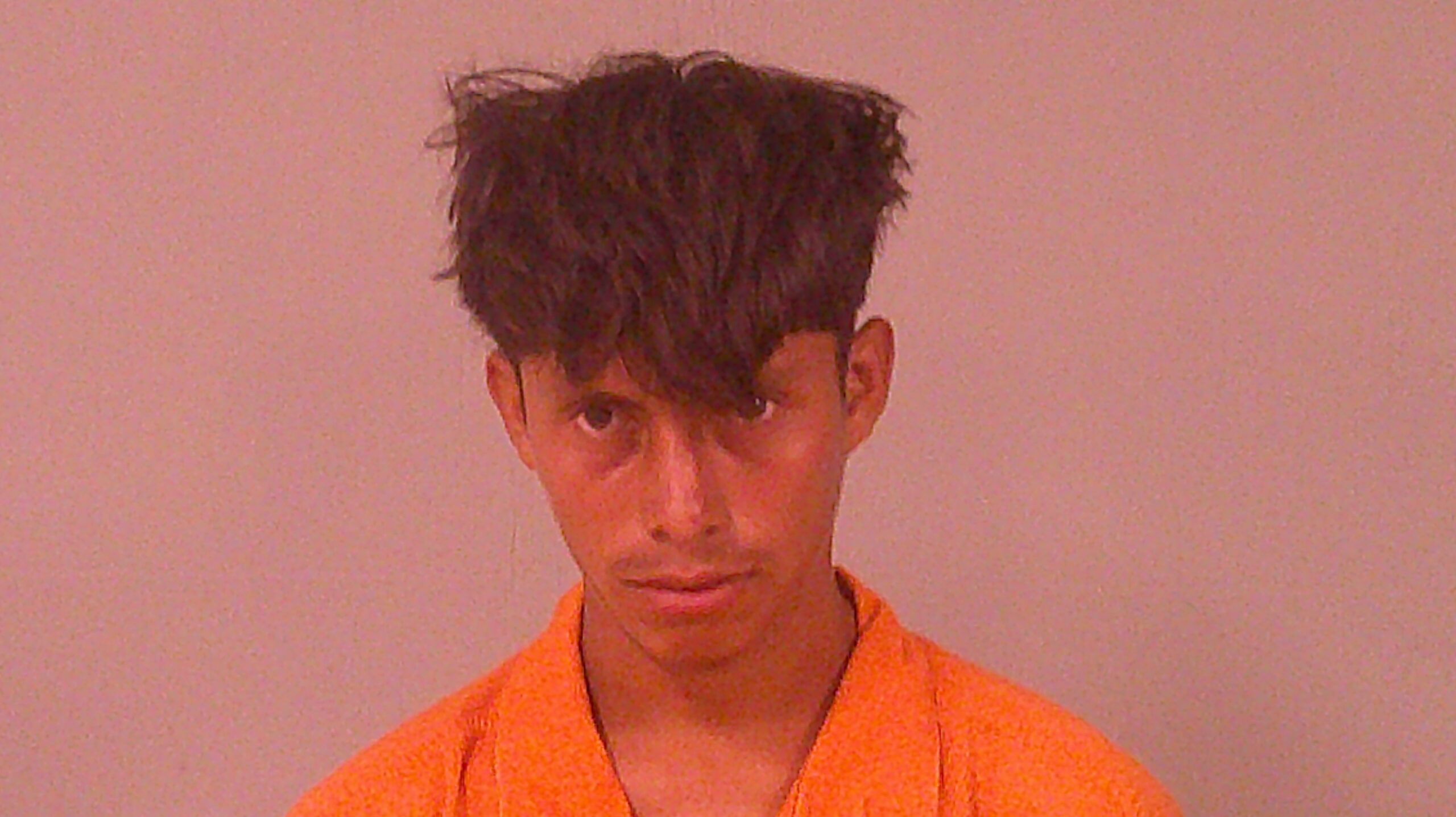 RAMIREZ-GARCIA, GERSON ALEXANDER booking photo