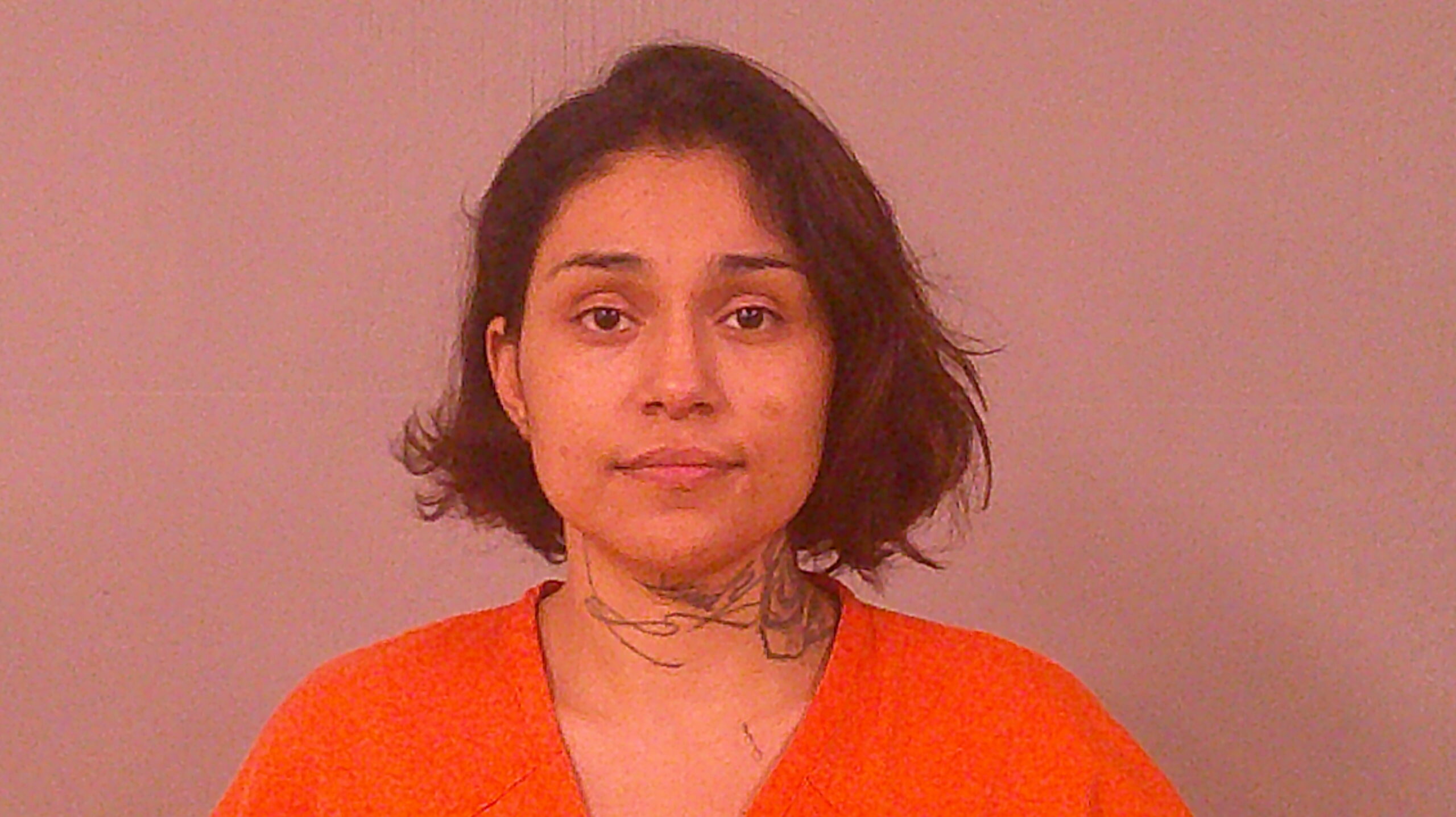 SANCHEZ, VICTORIA MARIE booking photo