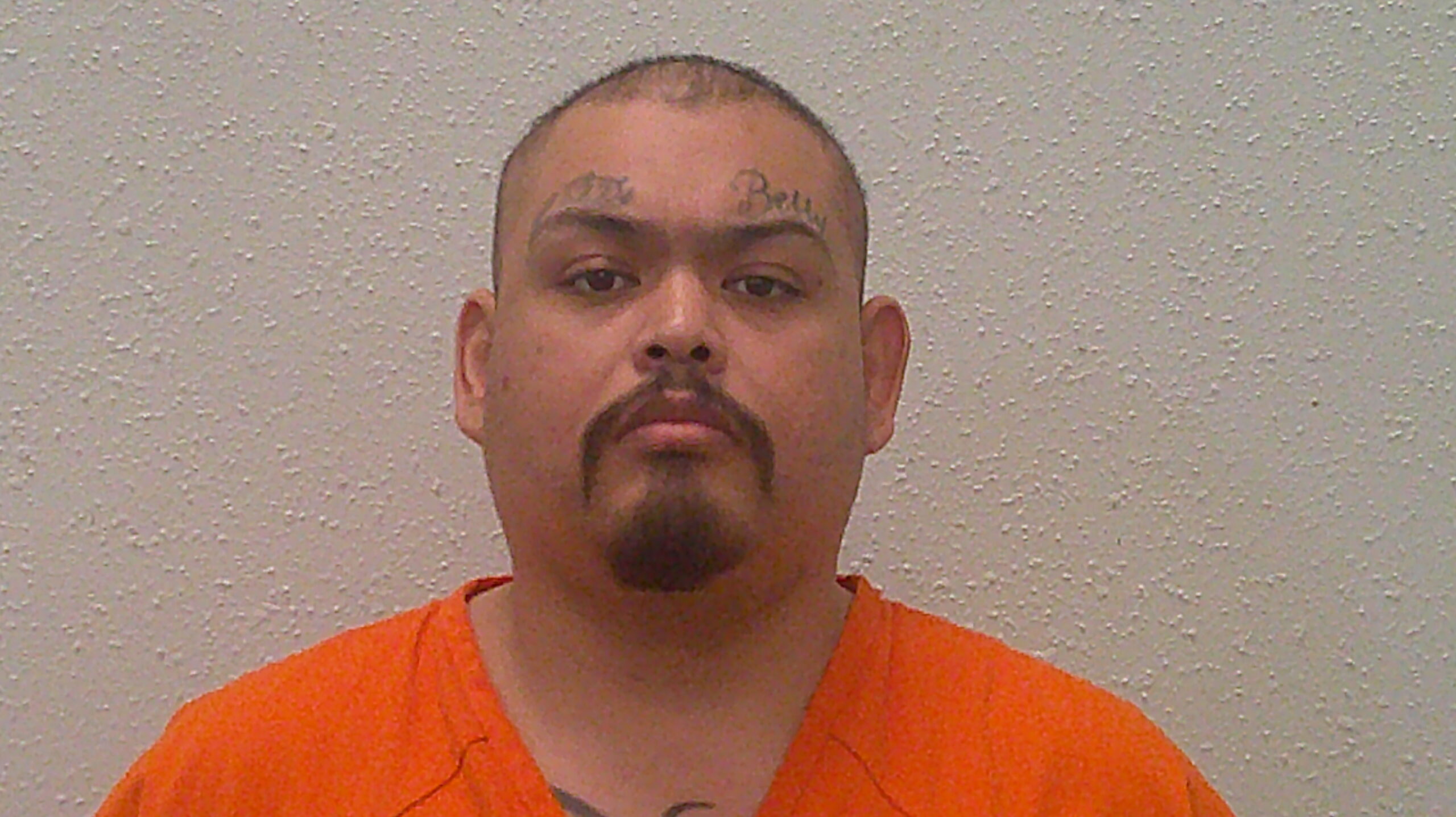 CORDERO, LUIS FRANCISCO booking photo