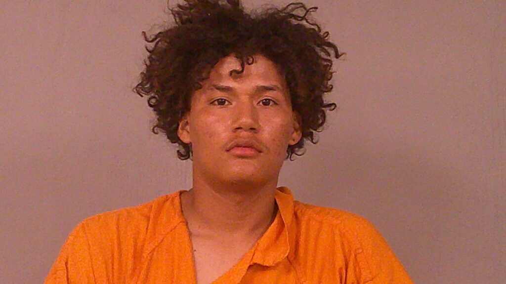 FLORES, CARLOS booking photo