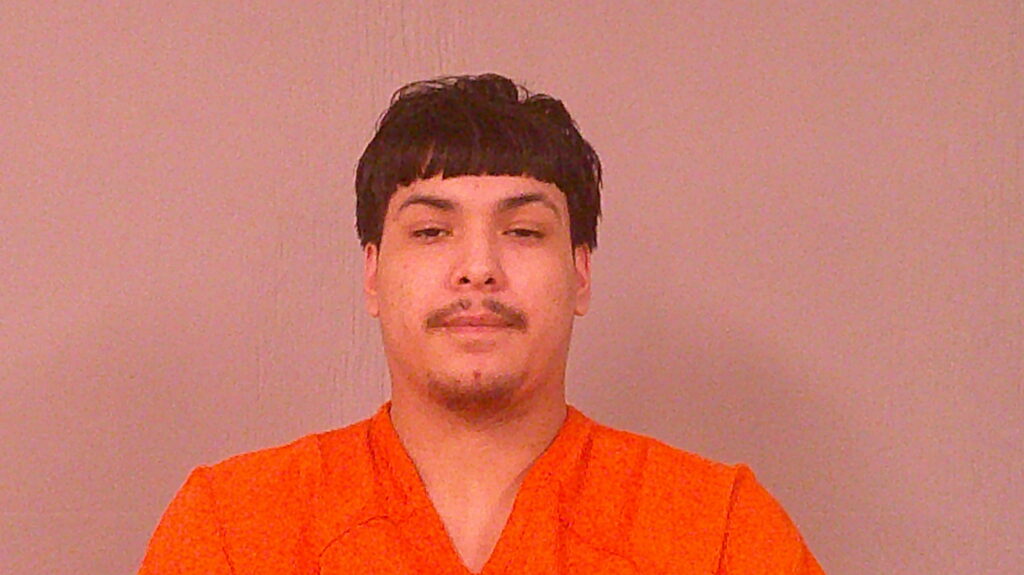 RICARTE, JOSE, III booking photo