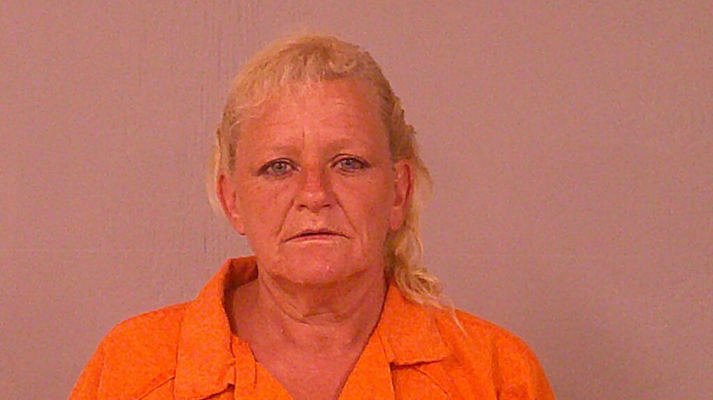 MEREDITH, TAMARA ELAINE arrested in Burnet County, Texas mugshot