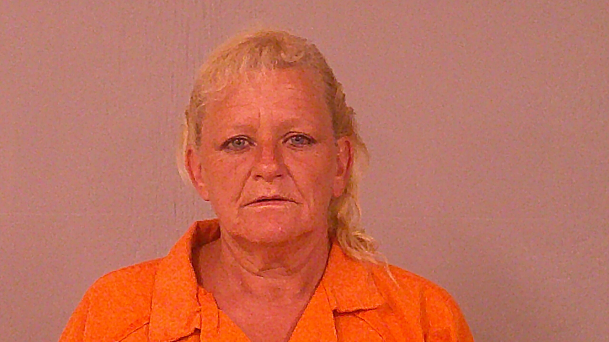 MEREDITH, TAMARA ELAINE booking photo