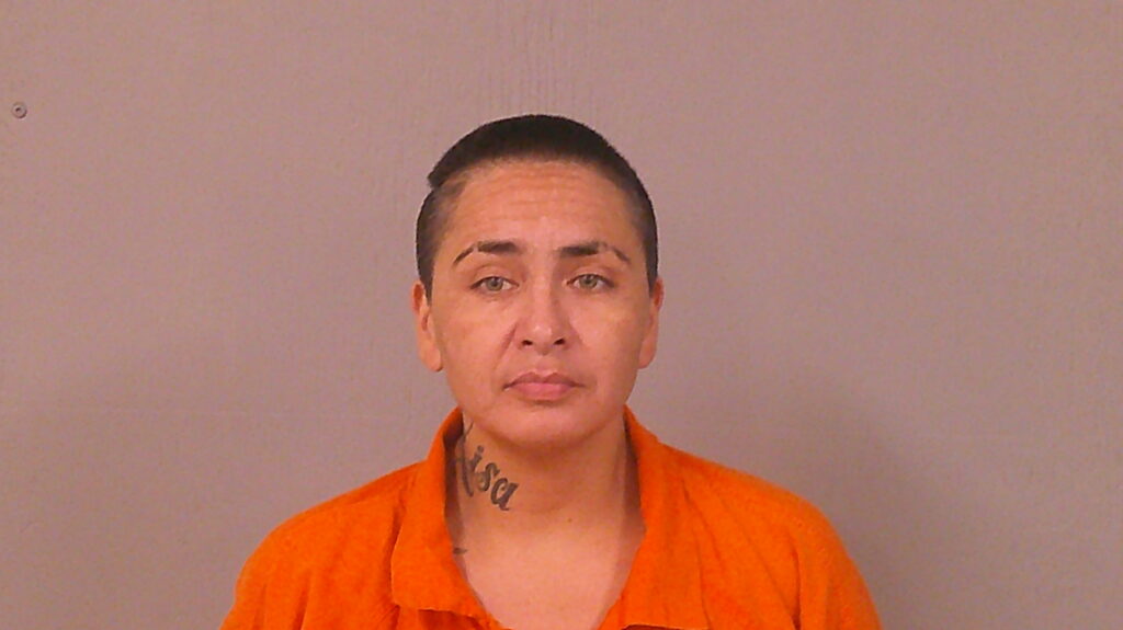 HUTCHISON, ROXANN MARIE booking photo