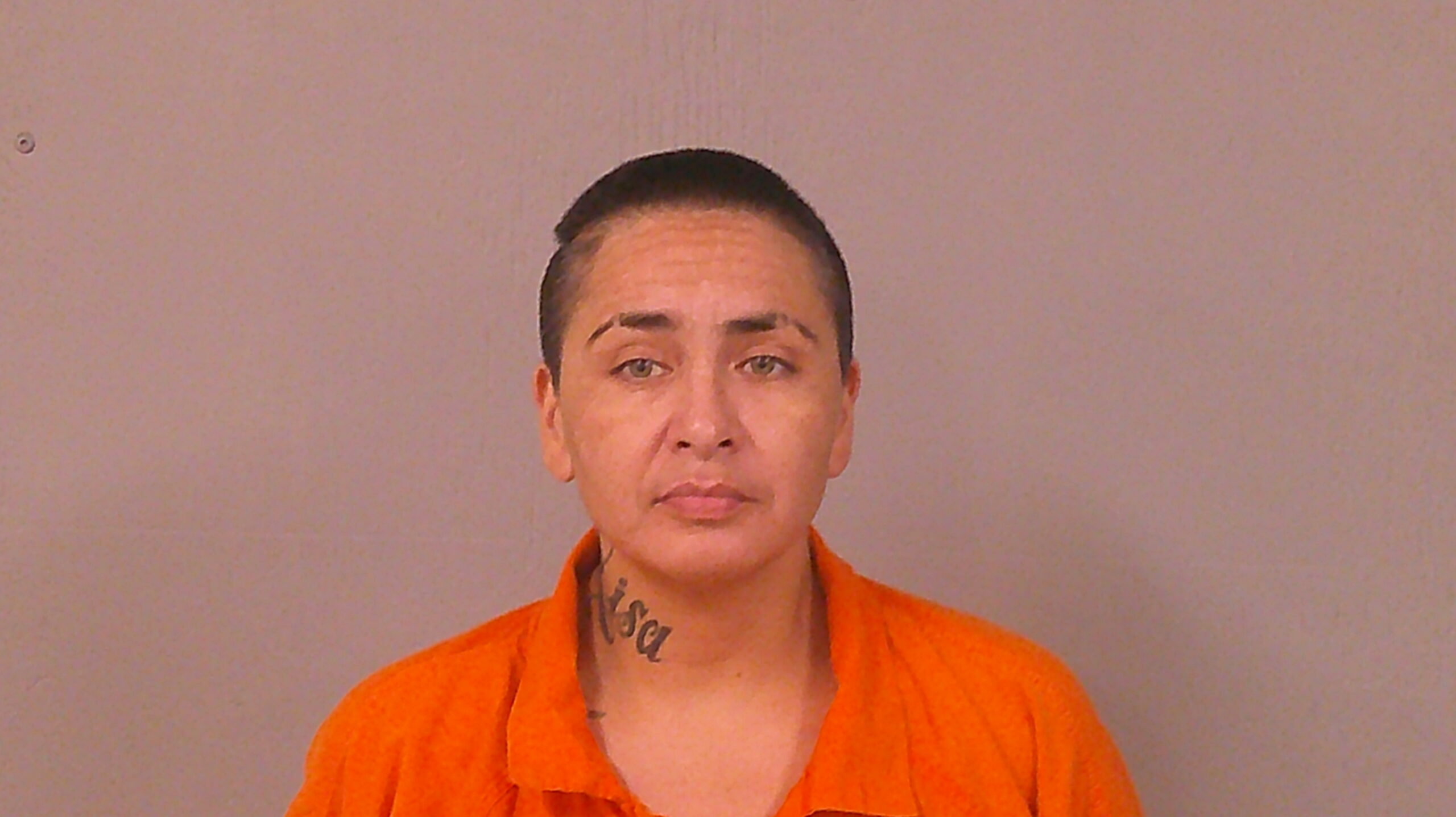 HUTCHISON, ROXANN MARIE booking photo