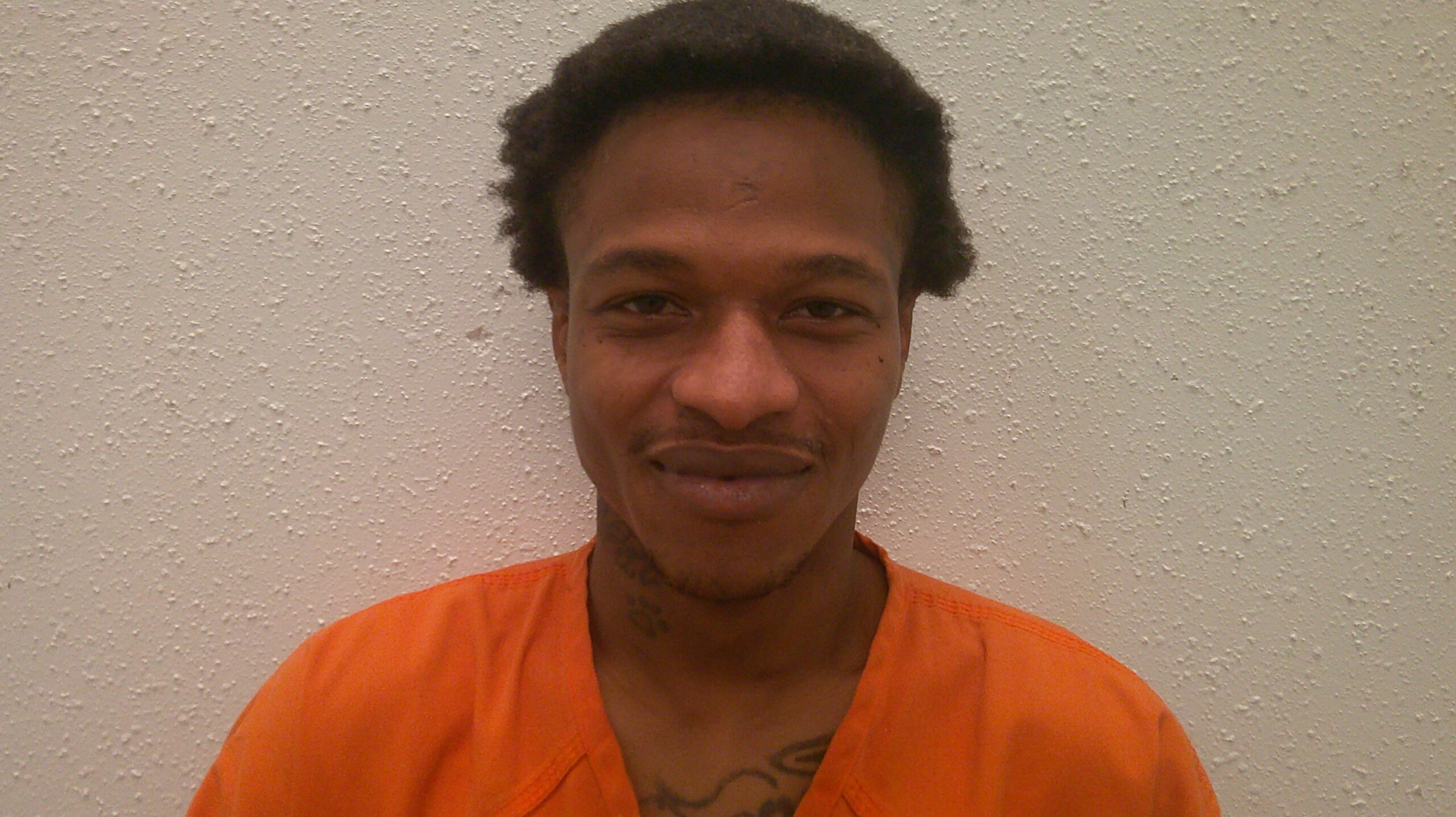 LEE, TAVARES DALONI booking photo