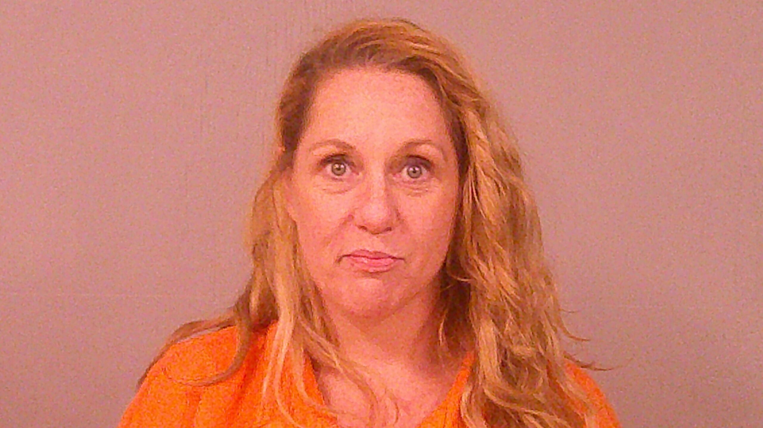 WEEMS, MICHELE booking photo