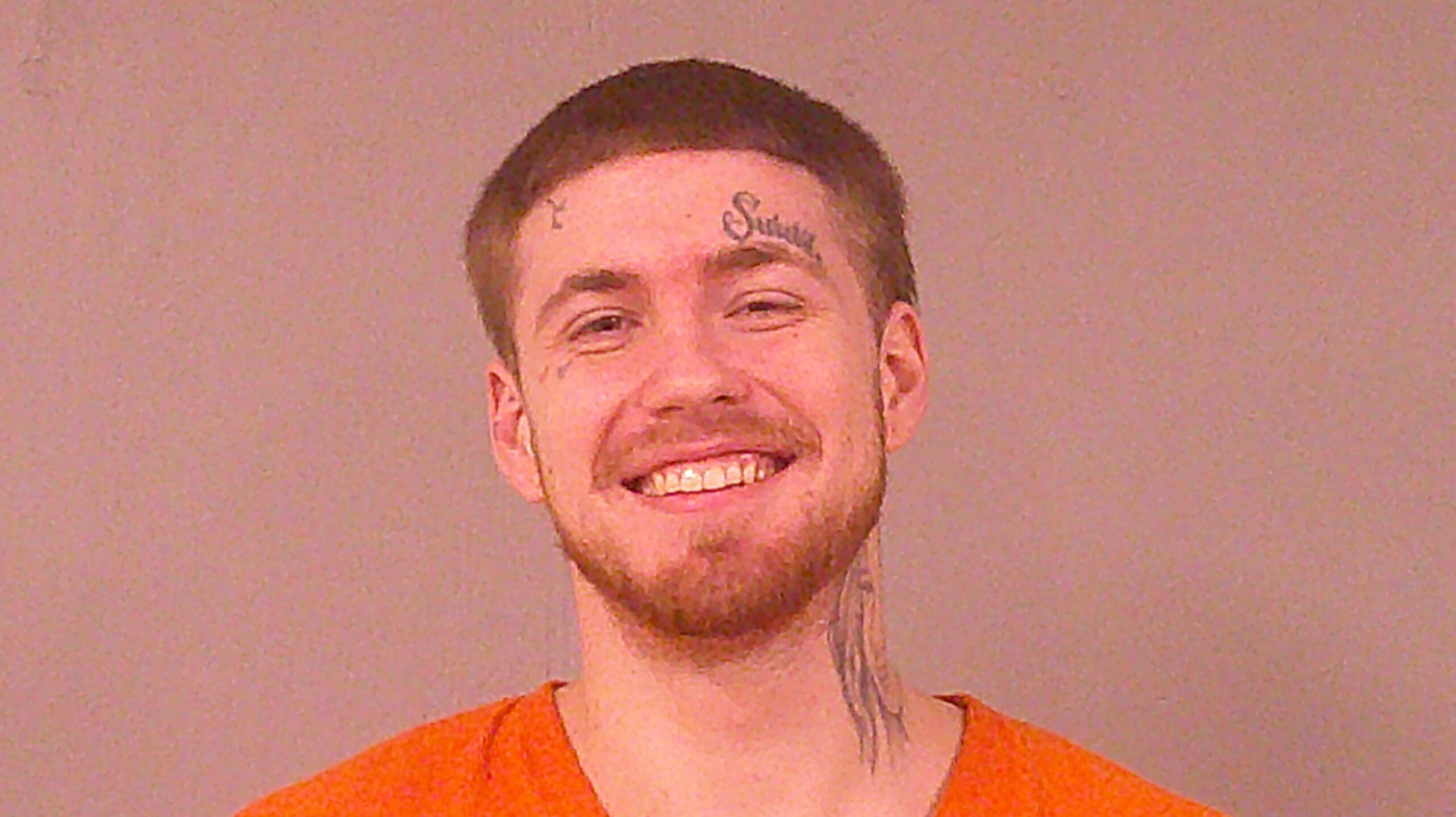 LEWIS, JESSE JAMES booking photo