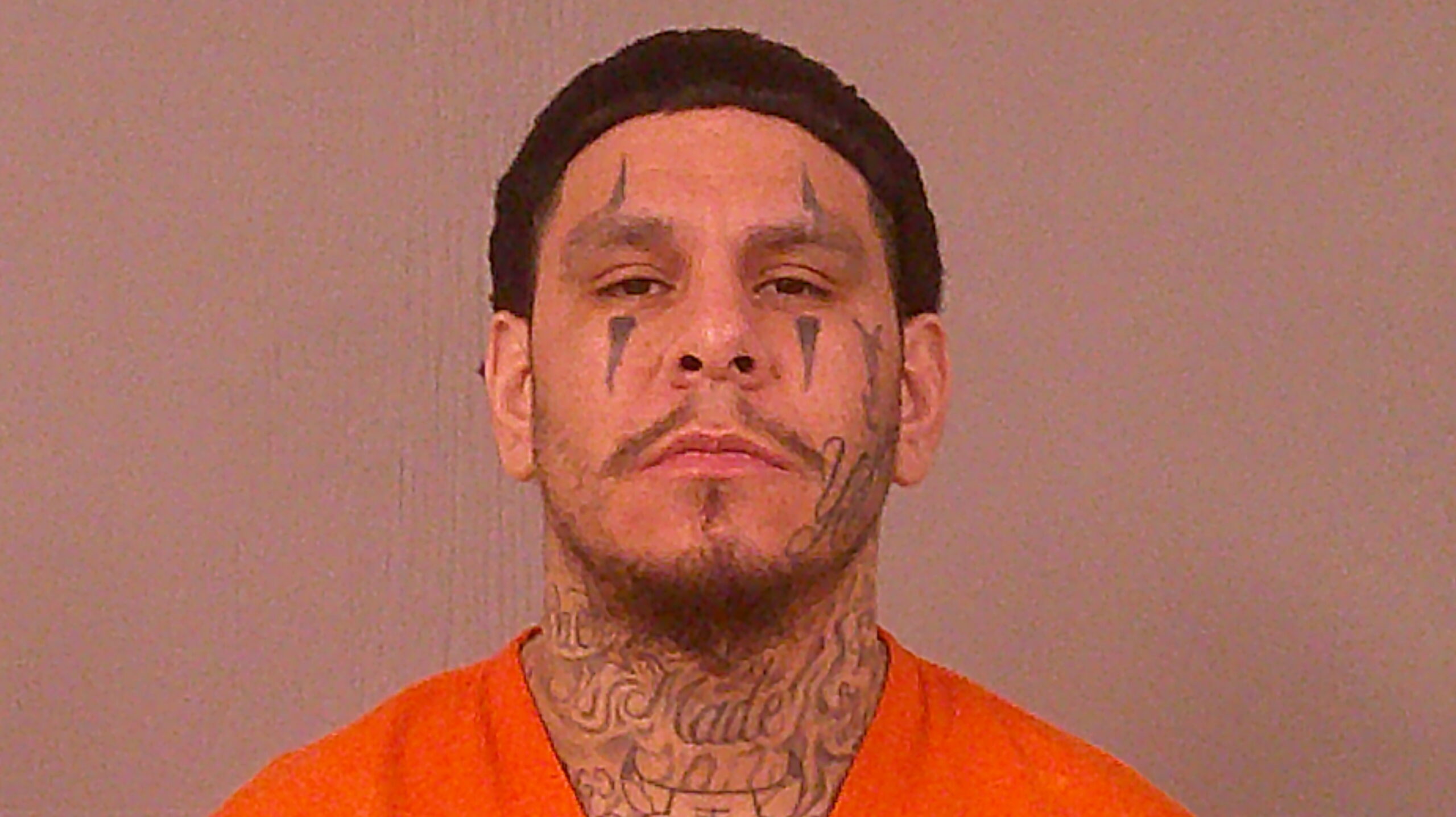 HUIZAR, VINCENT booking photo