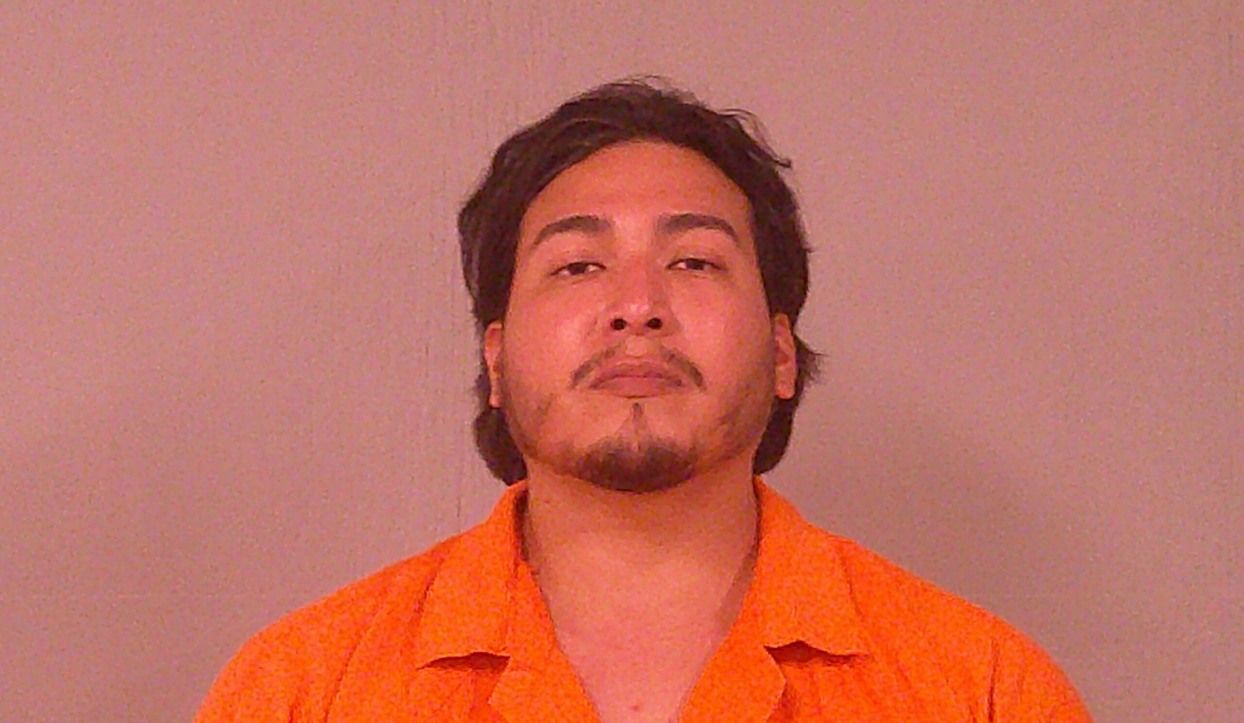 RAMIREZ, DOMINGO RESENDIZ booking photo