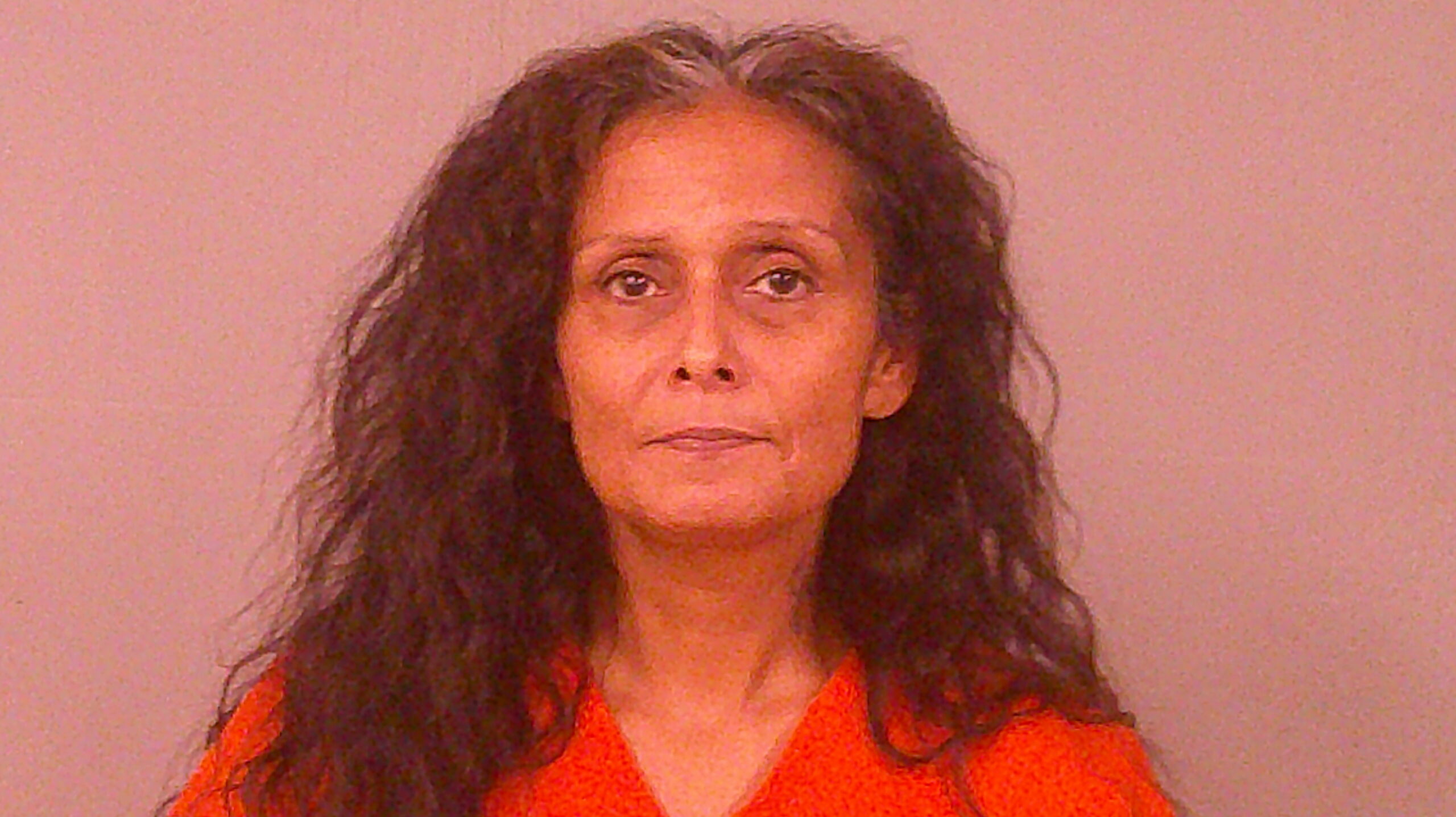 DAVILA, LINDA booking photo