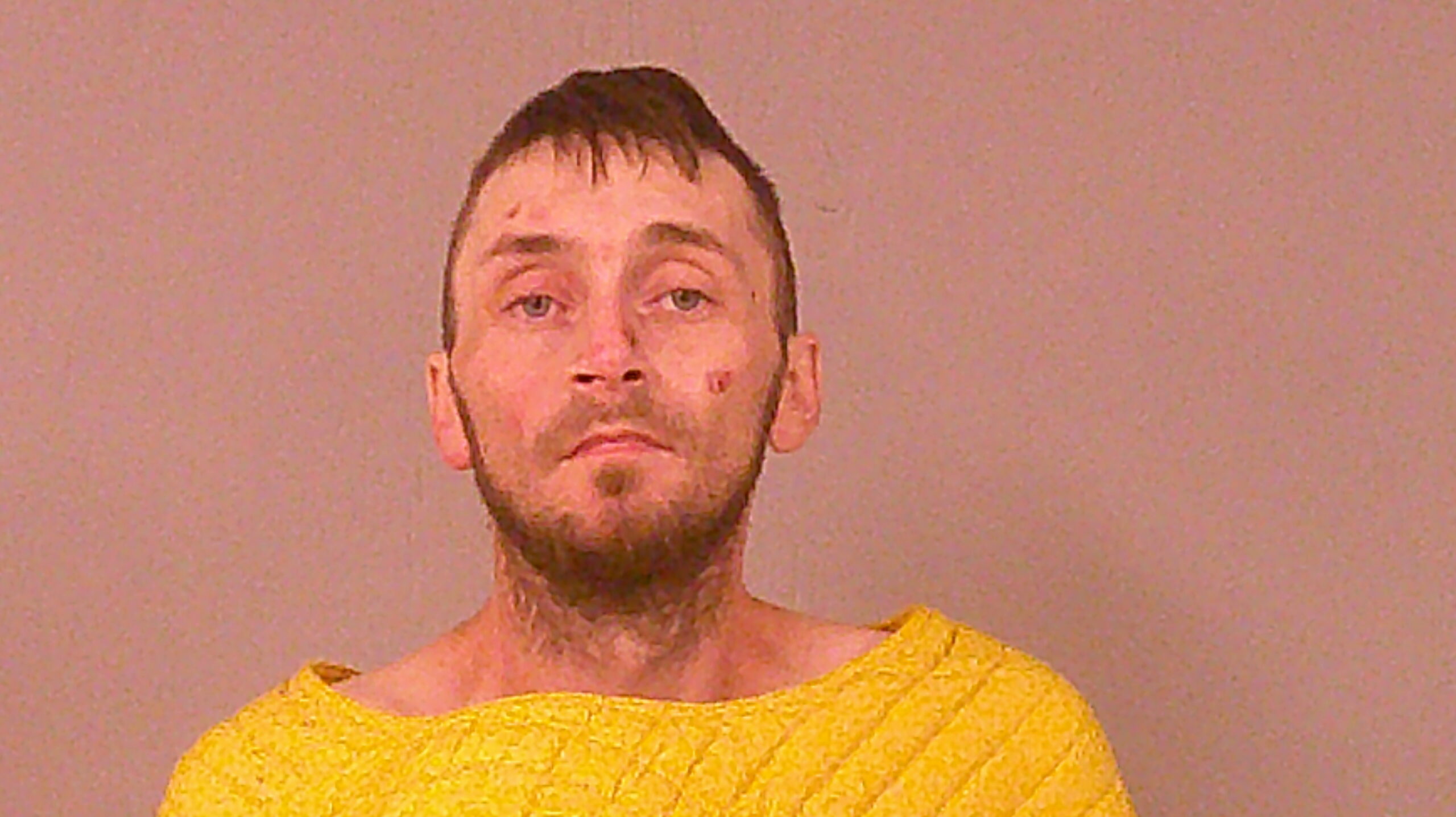 JAMES, WESTON DALE booking photo