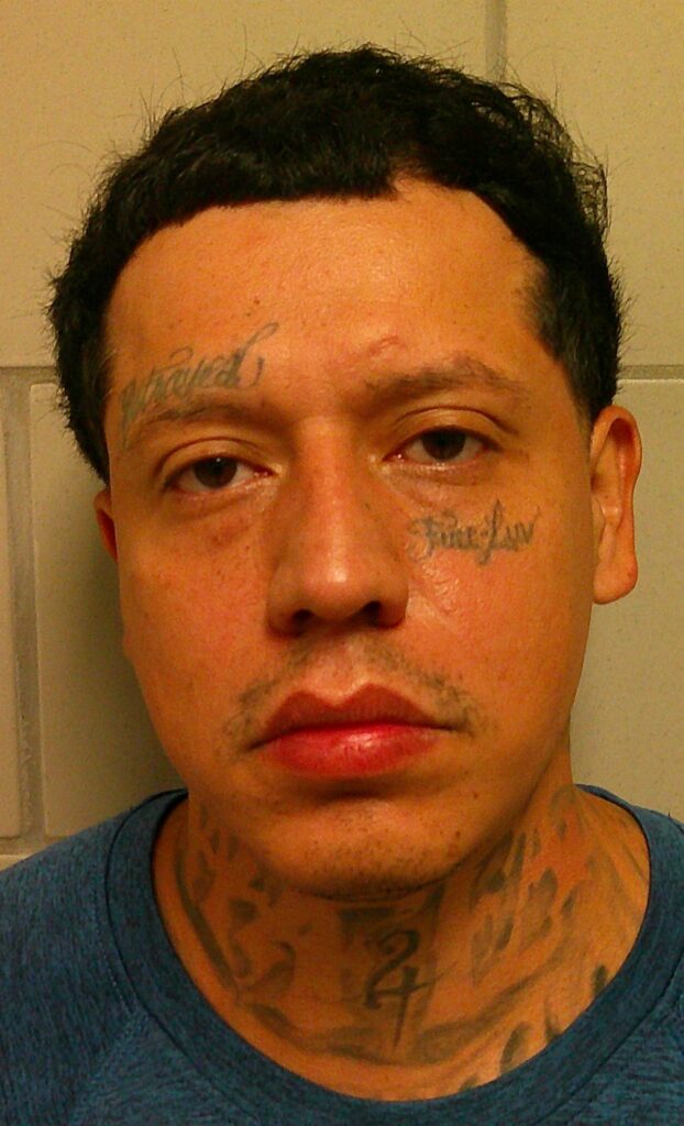 GABINO, GEORGE booking photo