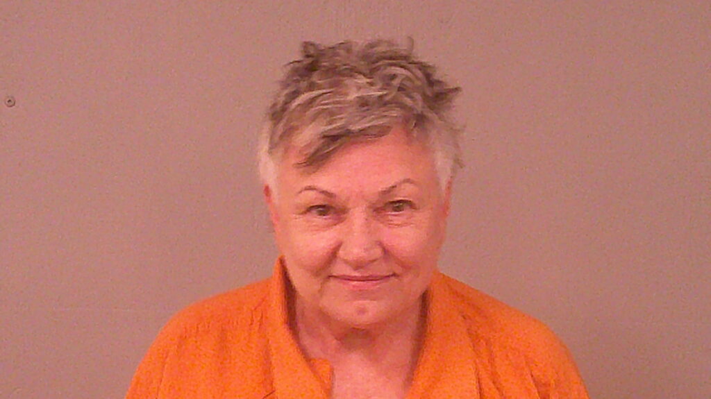 LONG, CONNIE SUE booking photo