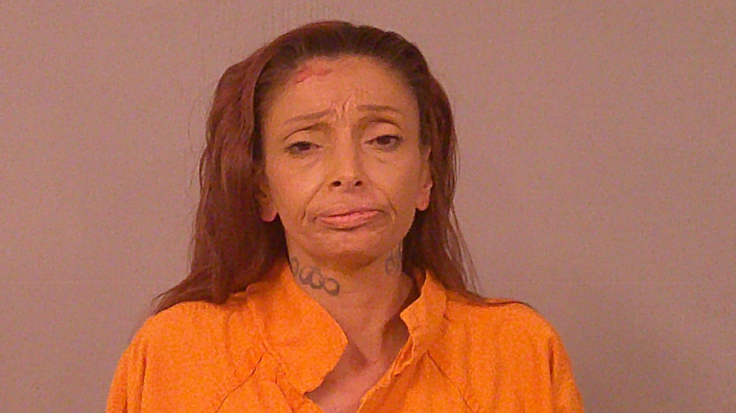 DIAZ, ELIZABETH booking photo