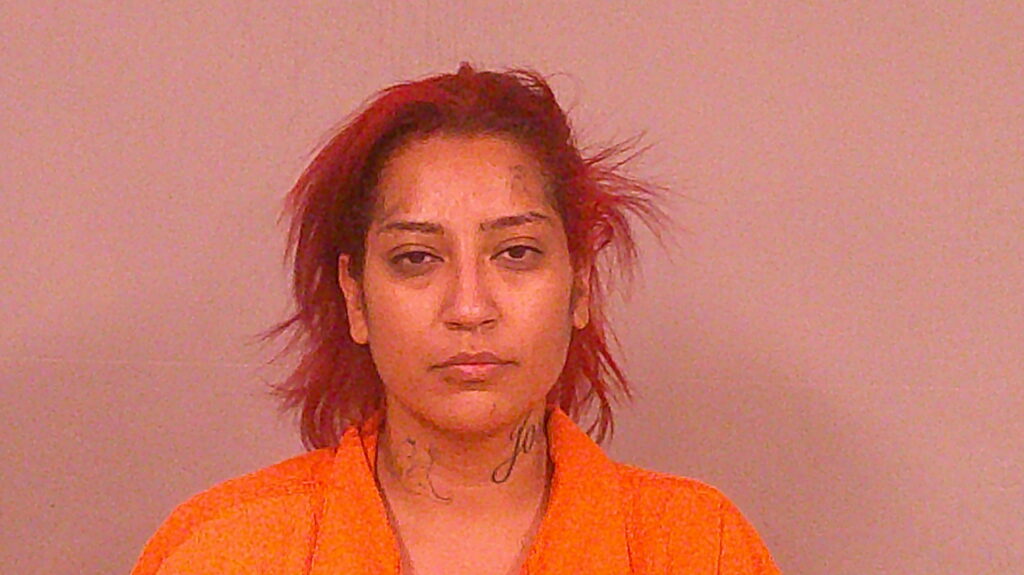 VILLAESCUSA-ACOSTA, DALIA booking photo