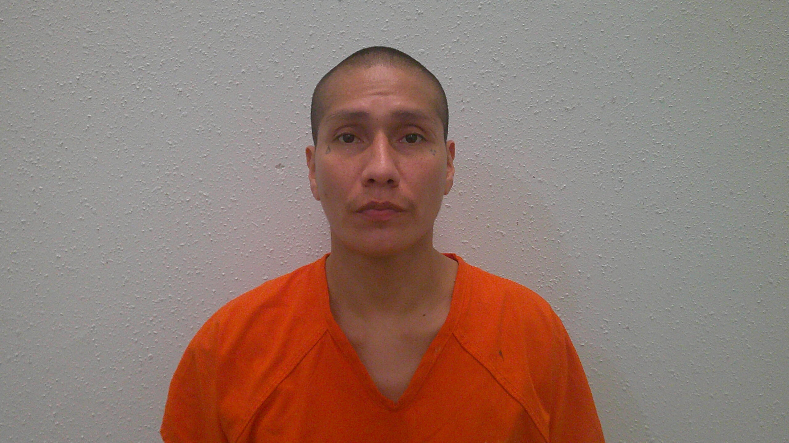 DIAZ, JAMES TREVINO booking photo