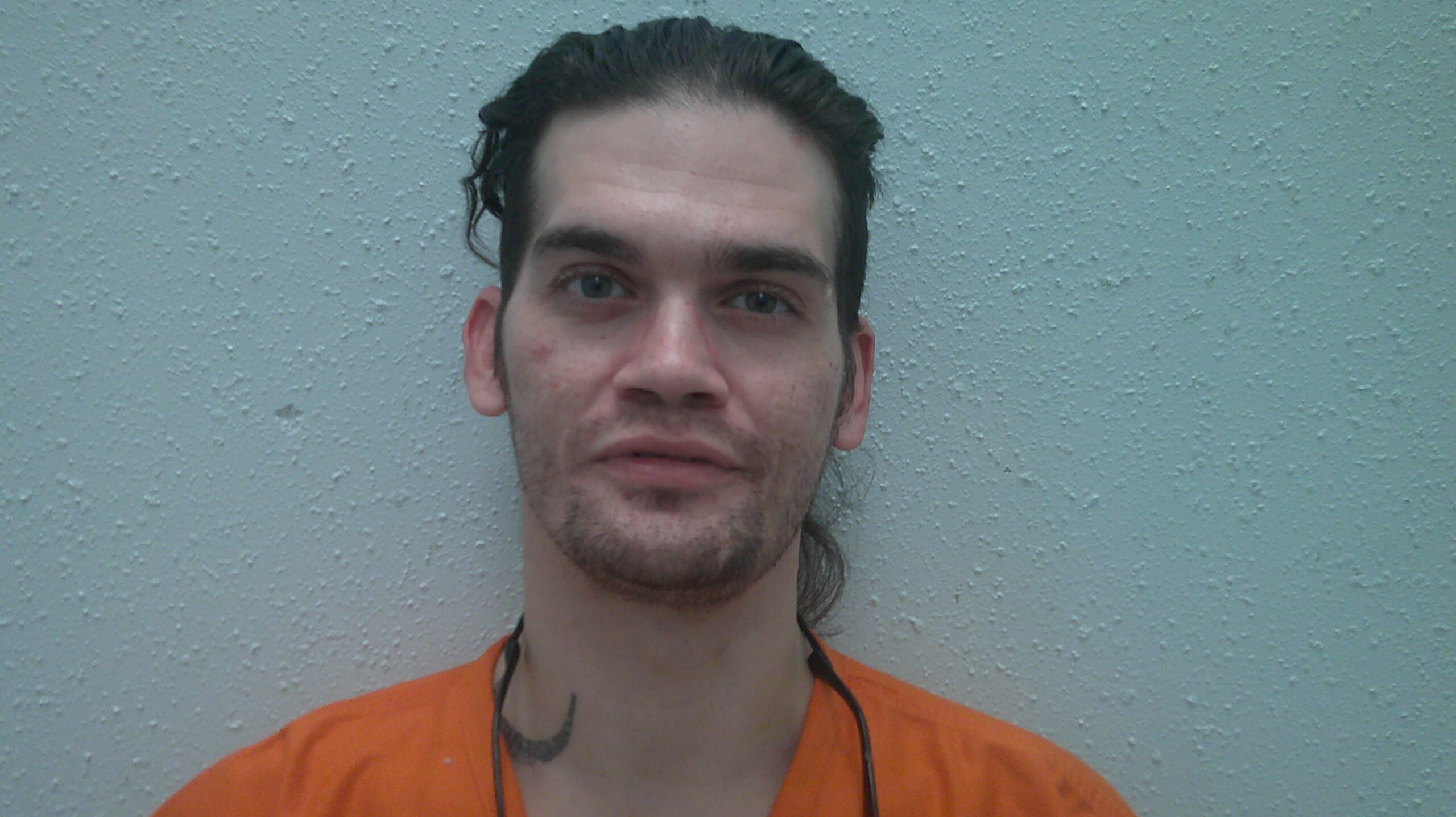 CARSON-ALEXANDER, MICHAEL ANDREW booking photo