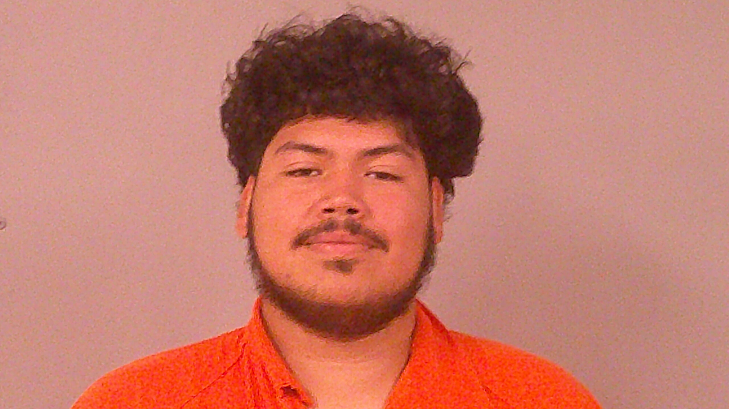 MICHAEL, RICHARD DANIEL booking photo