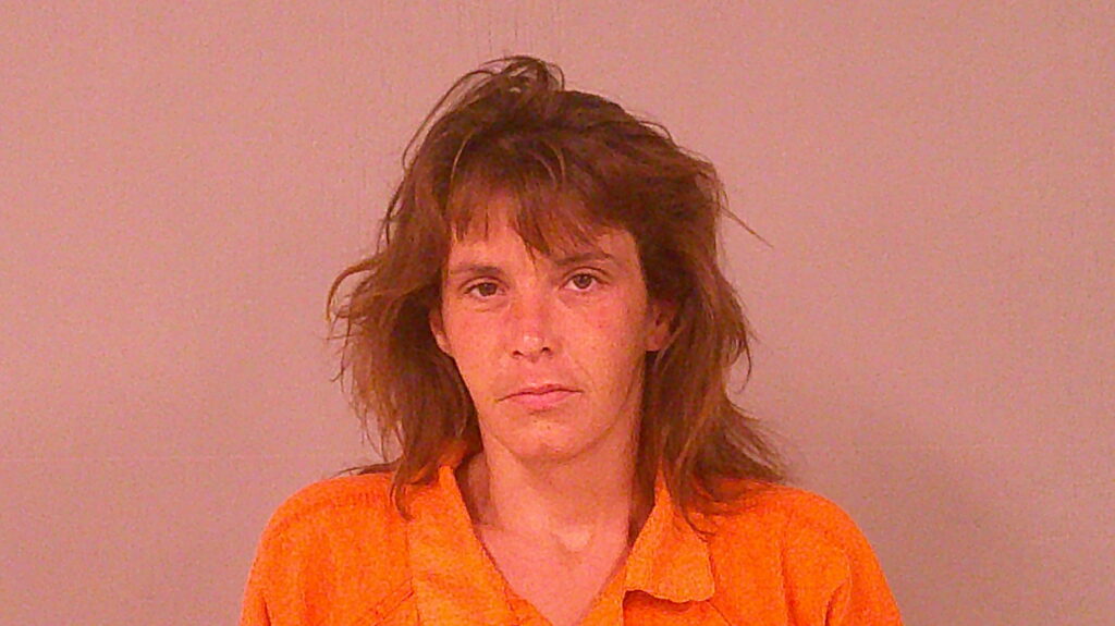 BARRETT, AMBER LYNN booking photo