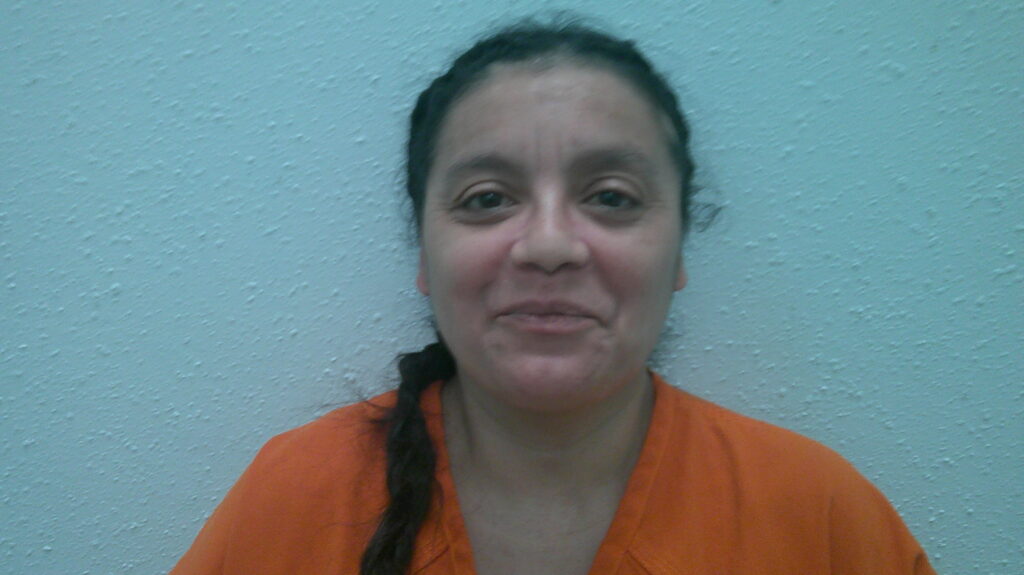 HERNANDEZ, JOSEFINA CLOFIAS booking photo