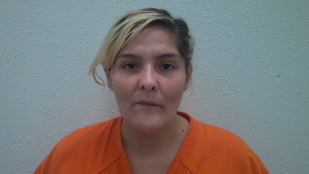 AYALA, LESLIE ANN booking photo