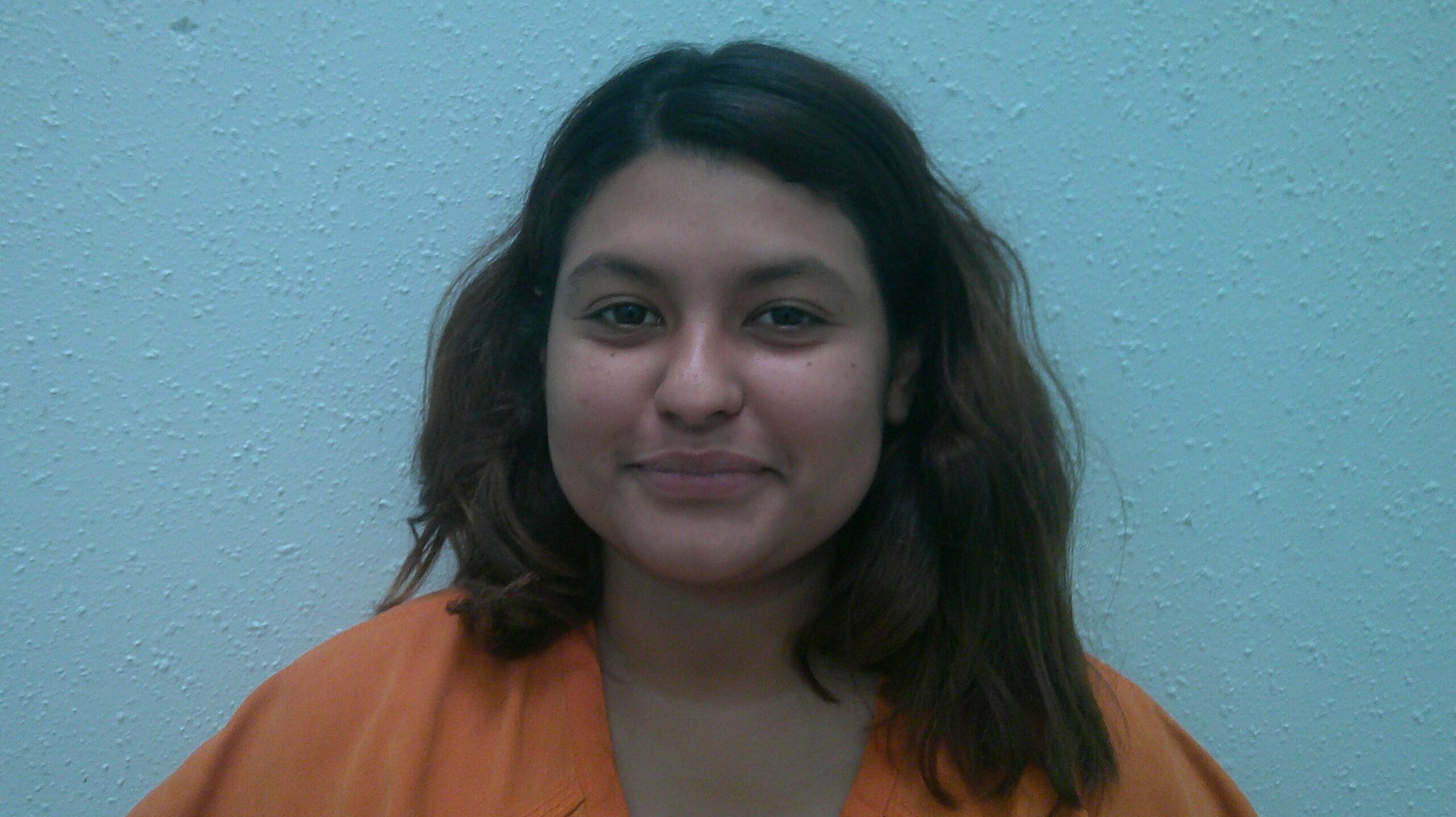 RAMOS, AGNES MARIE booking photo