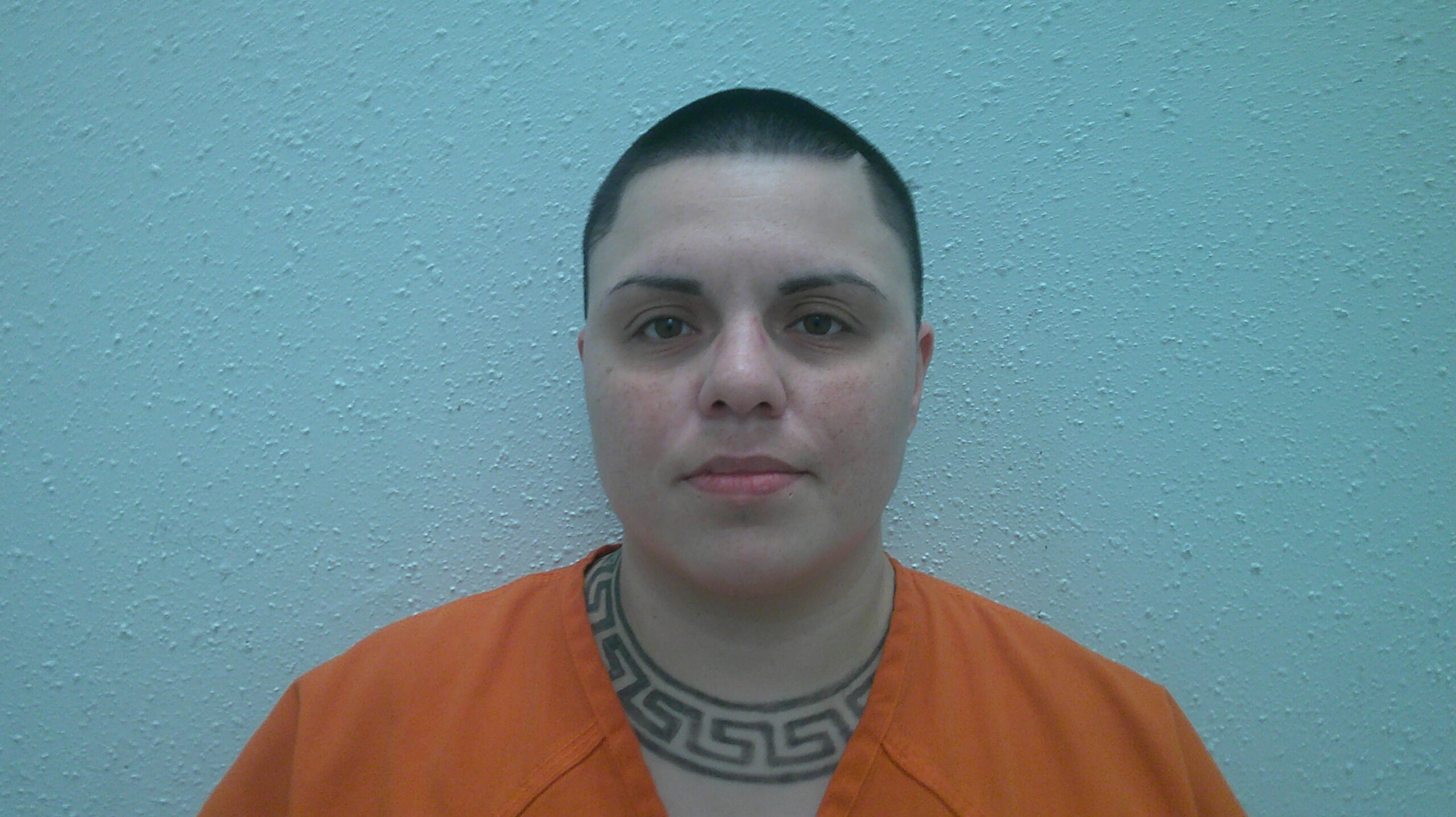 HAINES, MERCEDES DEANE booking photo