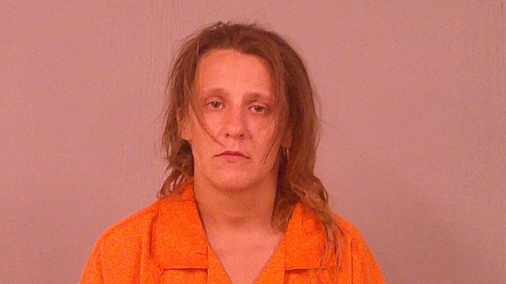 NORTH, JANNA RENEE booking photo