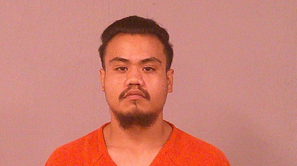 LEVINE, ALBERT booking photo