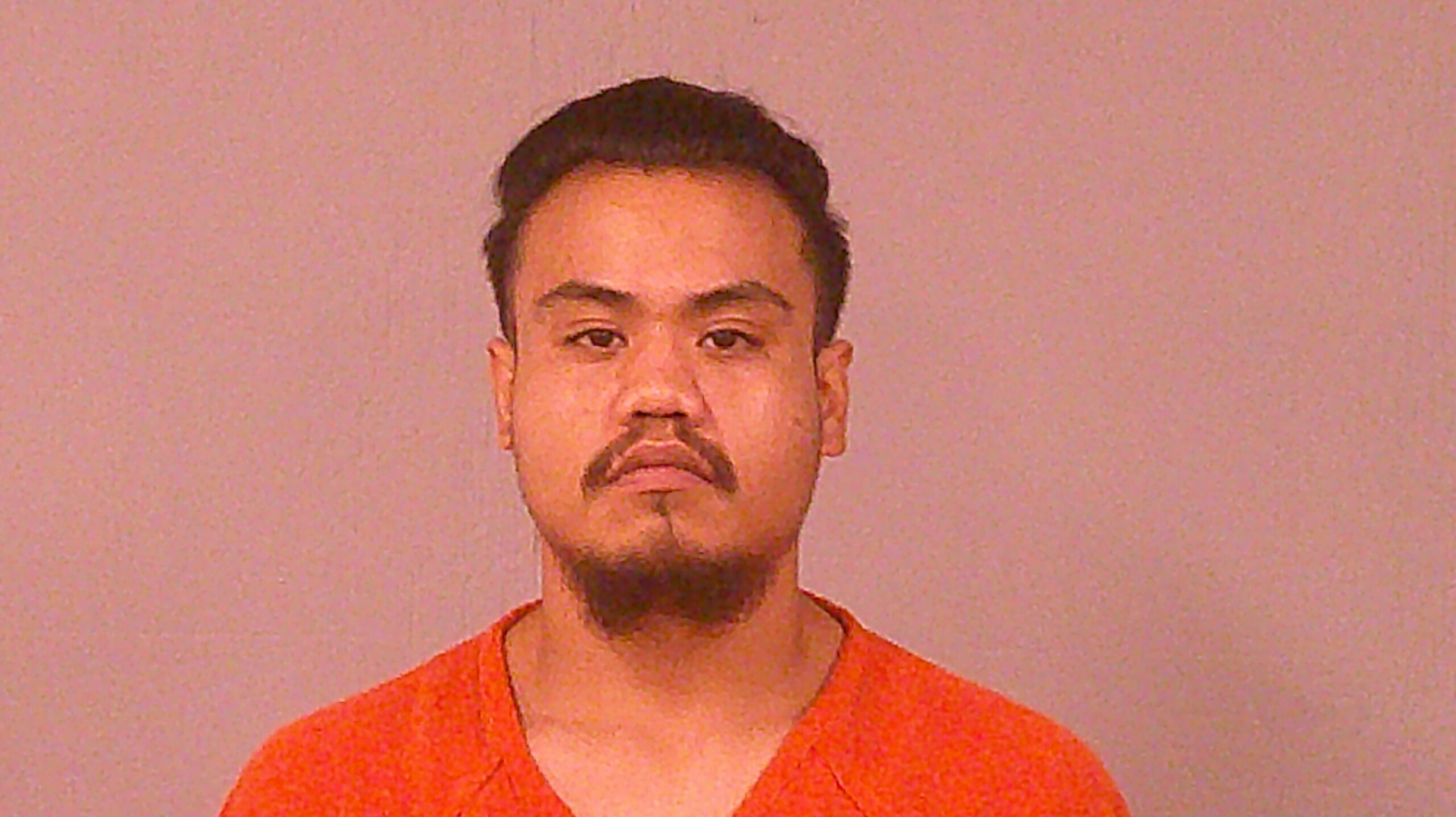 LEVINE, ALBERT booking photo