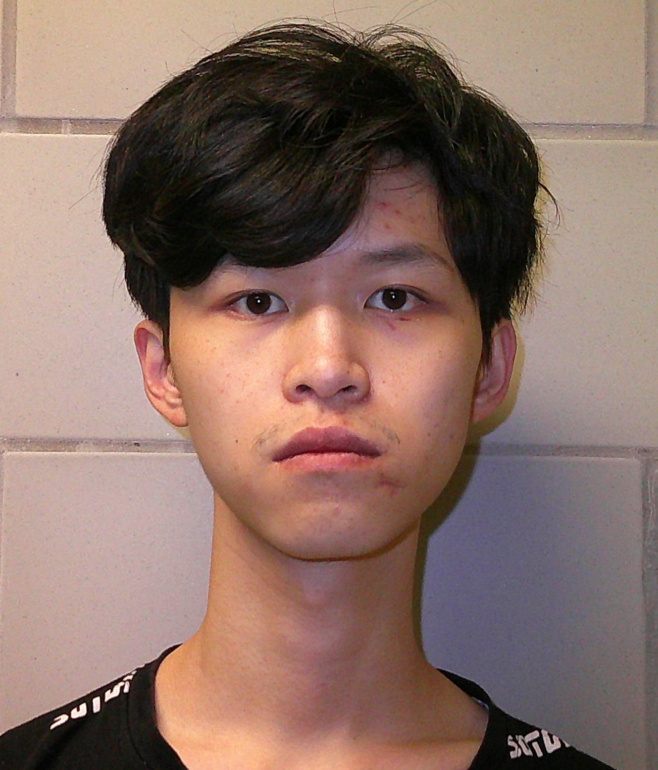 CHEN, HUAJIAN booking photo