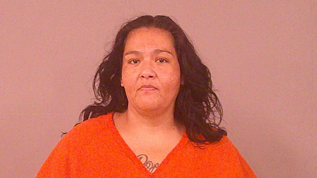 LOPEZ, PATRICIA MICHELLE booking photo